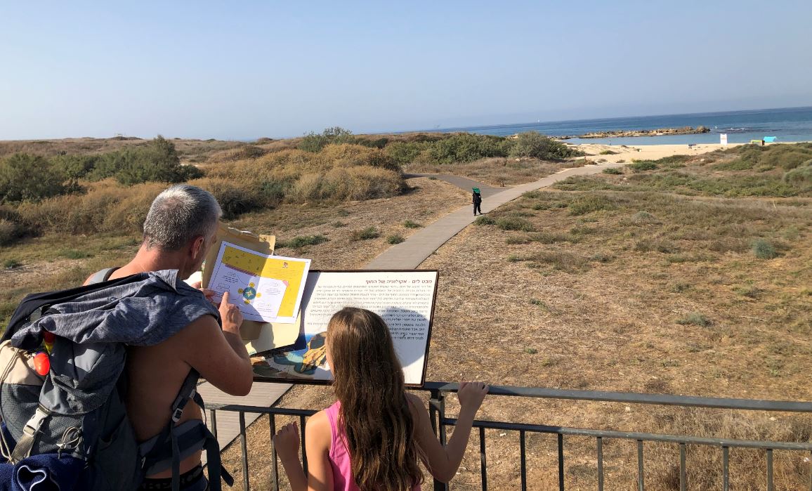 קוד העתיקות בתל דור - צילום חגי דביר