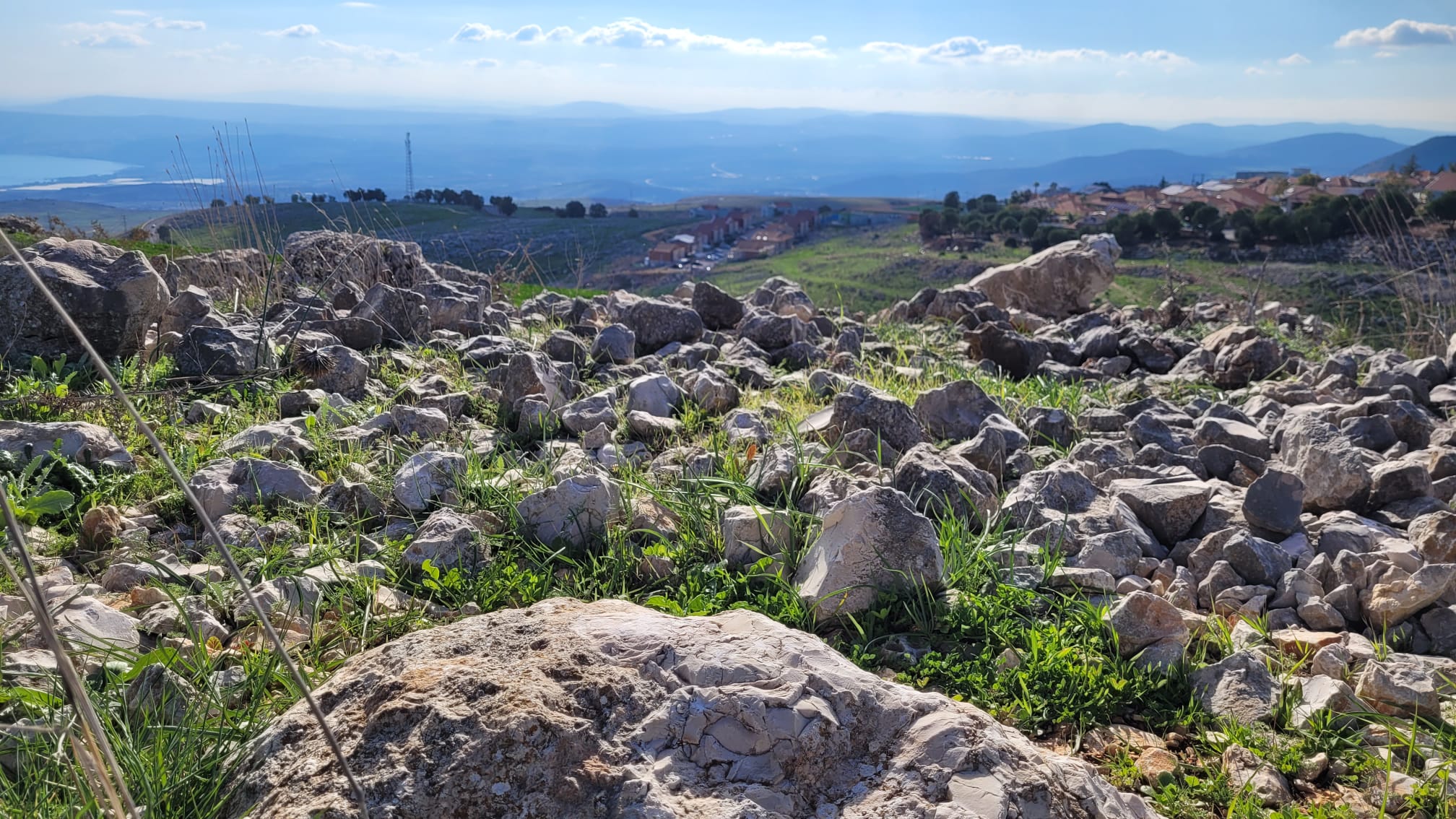 שמורת טבע טרשי צפת