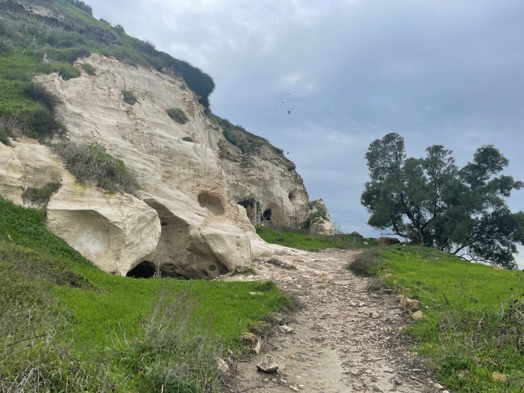 גן לאומי תל צפית
