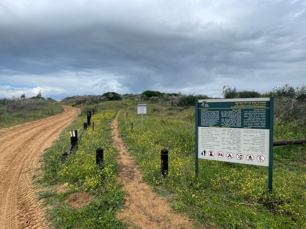 שמורת טבע איריס הארגמן – בית חנן