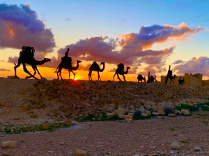 גן לאומי עבדת. צילמה נילי דבש