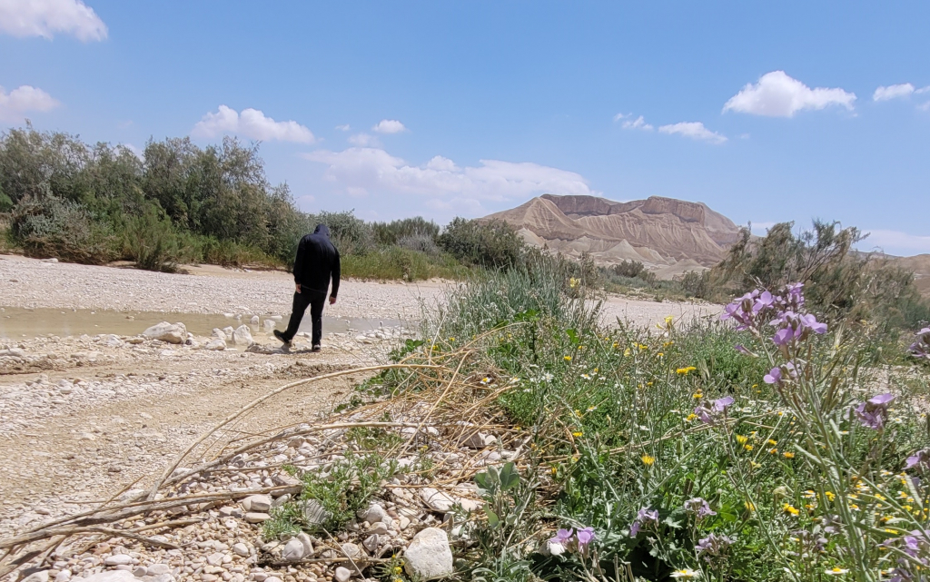 שביל לנסיעה של ג'יפים בבקעת צין שביל לנסיעה של ג'יפים בבקעת צין