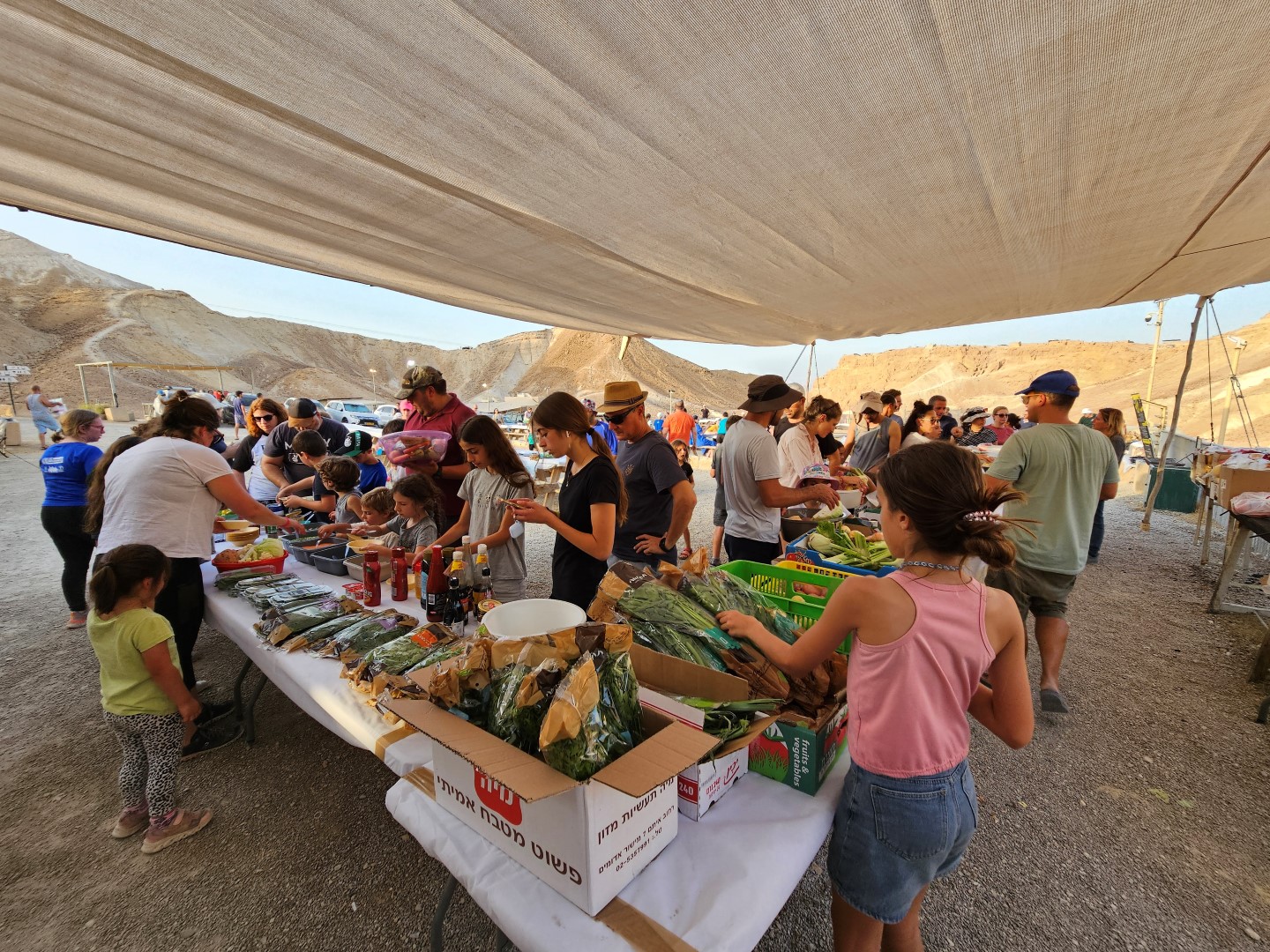 פעילות מטמונשטח במצדה מערב