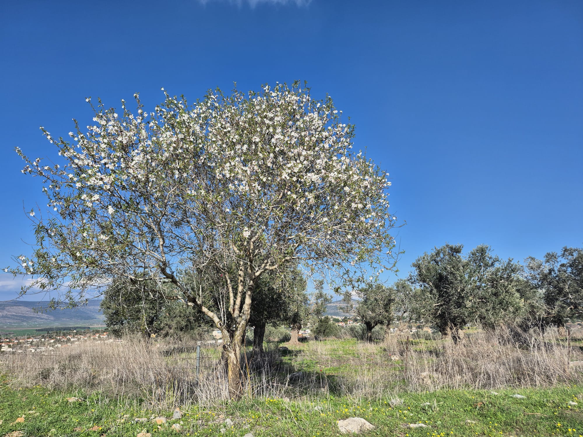 המסלול המומלץ שלנו