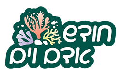 לוגו חודש אדם וים