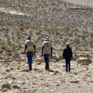 סיירת הדורסים סיירת הדורסים, צילום אבו מאדי מוניר, מתנדב רשות הטבע והגנים
