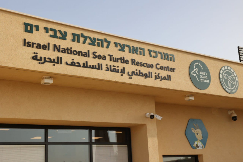 פתיחת המרכז הארצי להצלת צבי ים. צילום: שי אייזקס