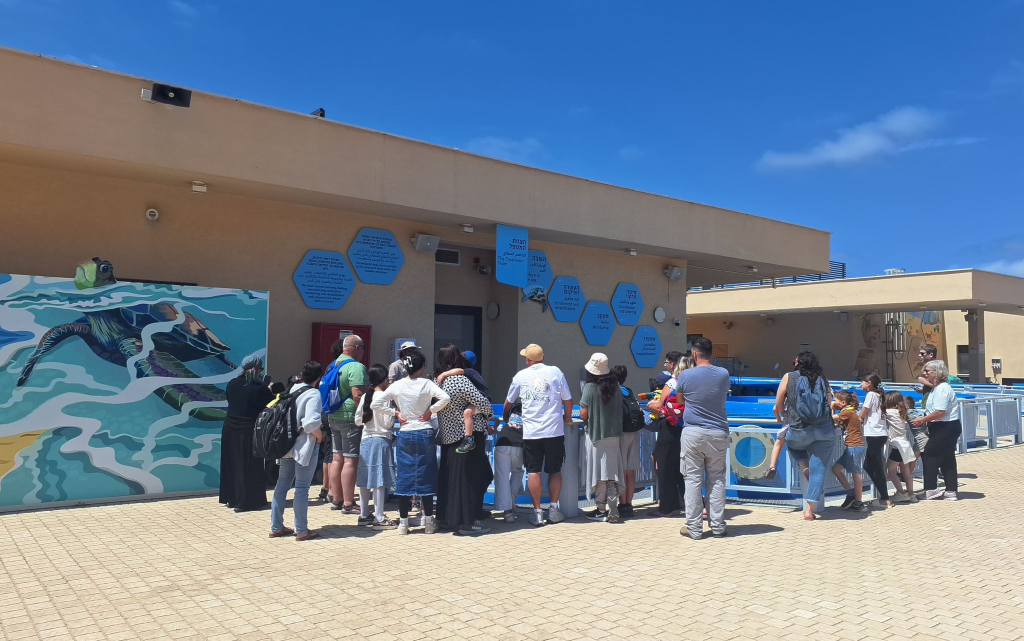 ביקור במרכז ההצלה לצבי ים. צילום: באדיבות 255, ארגון החטופים ומשפחותיהם